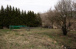 Teren 7088 mp în Borhanci – achiziție integrală sau separată - trei parcele