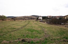 Teren 7088 mp în Borhanci – achiziție integrală sau separată - trei parcele