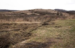 Teren 7088 mp în Borhanci – achiziție integrală sau separată - trei parcele