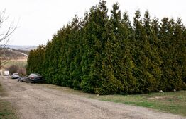 Teren 7088 mp în Borhanci – achiziție integrală sau separată - trei parcele