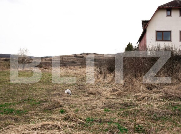 Teren de vânzare Borhanci - 191972TV | BLITZ Cluj-Napoca | Poza14