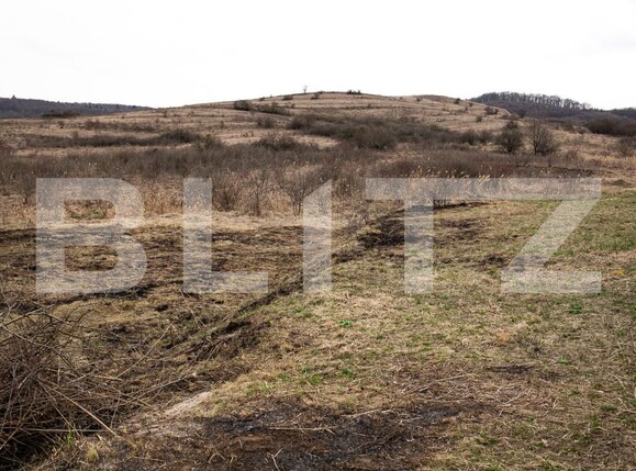 Teren de vânzare Borhanci - 191972TV | BLITZ Cluj-Napoca | Poza4