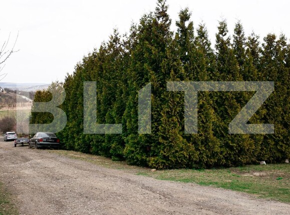 Teren de vânzare Borhanci - 191972TV | BLITZ Cluj-Napoca | Poza7