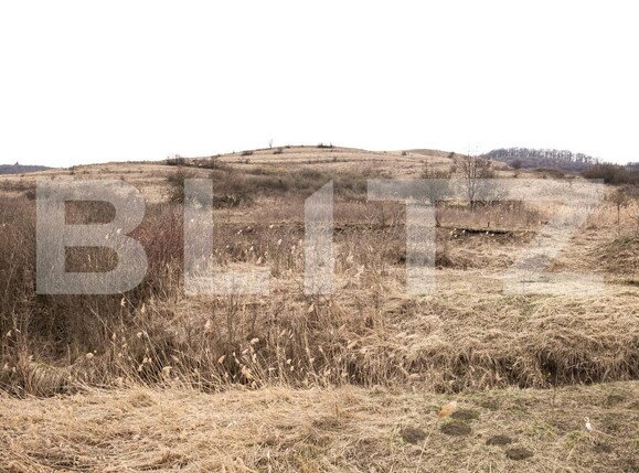 Teren de vânzare Borhanci - 191972TV | BLITZ Cluj-Napoca | Poza1