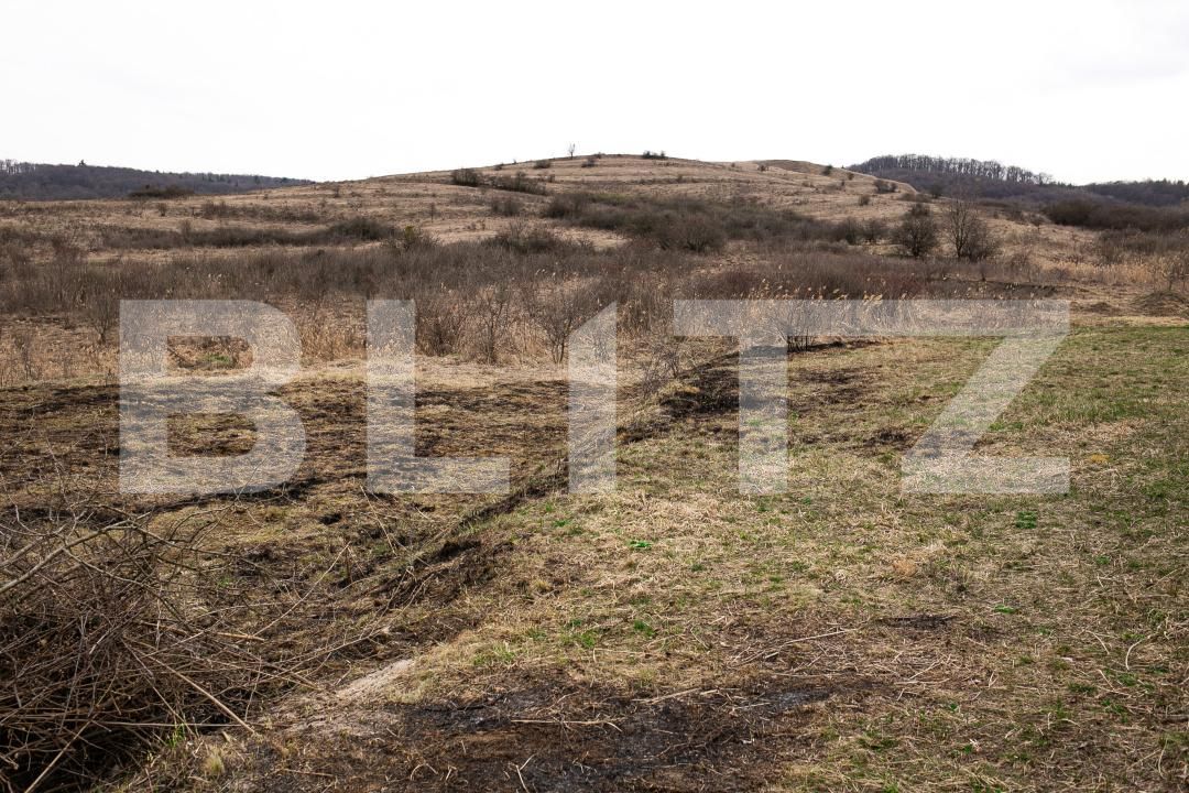 Teren de vânzare Borhanci - 191972TV | BLITZ Cluj-Napoca | Poza4