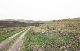 Teren 5800 mp în Câmpenești – cadru natural deosebit, ideal pentru investiție