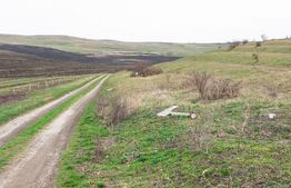 Teren 5800 mp în Câmpenești – cadru natural deosebit, ideal pentru investiție