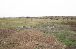 Teren 5800 mp în Câmpenești – cadru natural deosebit, ideal pentru investiție