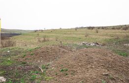 Teren 5800 mp în Câmpenești – cadru natural deosebit, ideal pentru investiție