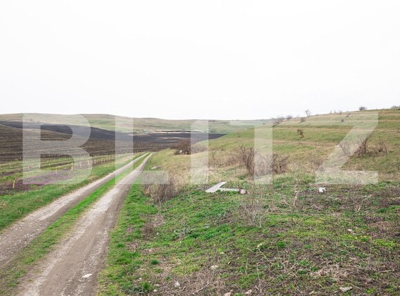 Teren de vânzare Câmpeneşti - 191974TV | BLITZ Cluj-Napoca | Poza6