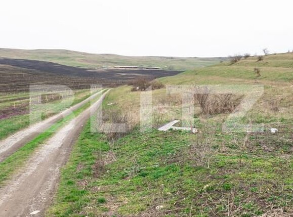 Teren de vânzare Câmpeneşti - 191974TV | BLITZ Cluj-Napoca | Poza5