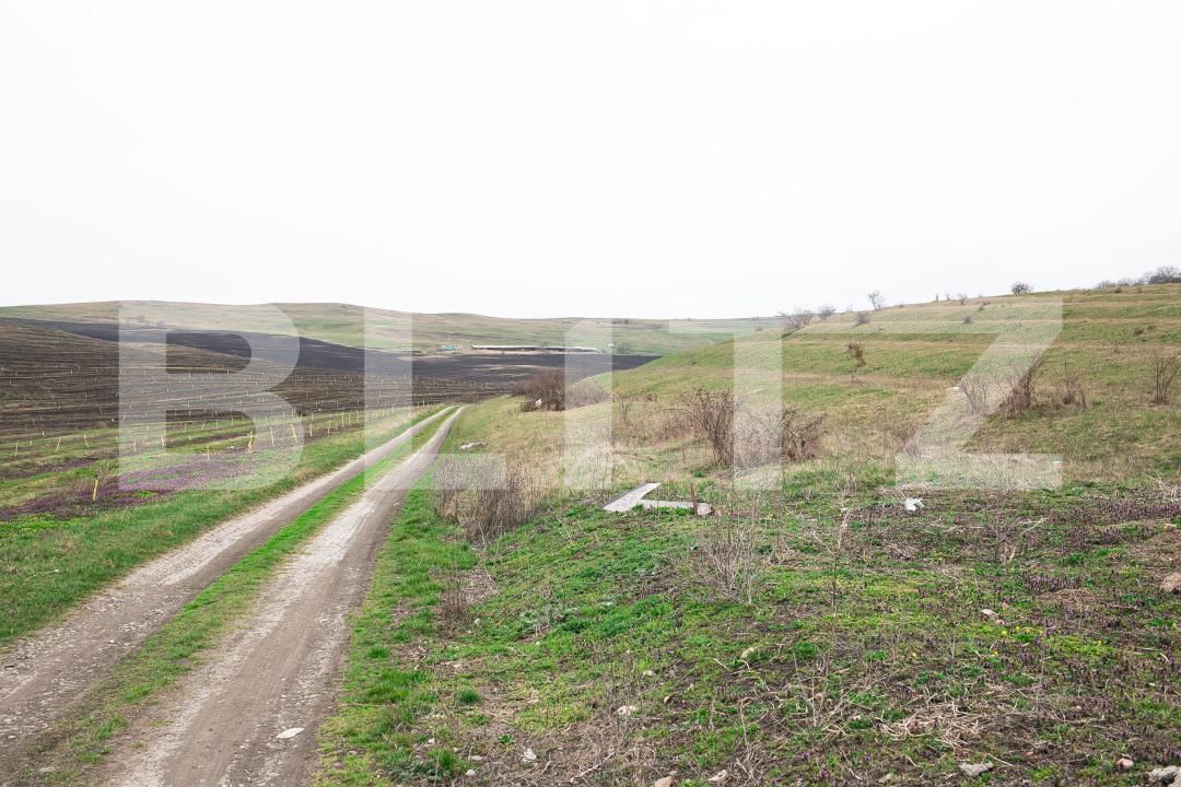 Teren de vânzare Câmpeneşti - 191974TV | BLITZ Cluj-Napoca | Poza6