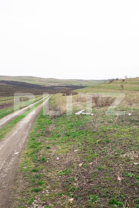 Teren de vânzare Câmpeneşti - 191974TV | BLITZ Cluj-Napoca | Poza5