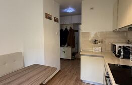 Apartament de 2 camere | zona Gemenii | Renovat complet & mobilat