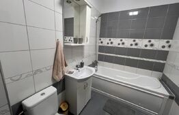 Apartament o camera, 40 mp, zona Semicentrala