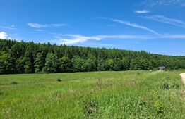 Teren Brasov , Dumbravita ,intravilan 600 mp pretabil casa sau casa de vacanta 