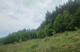 Teren Brasov , Dumbravita ,intravilan 680 mp pretabil casa sau casa de vacanta 