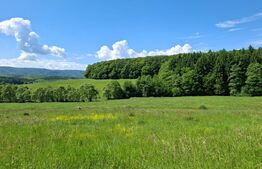 Teren de vânzare Exterior Vest - 78314TV | BLITZ Brașov | Poza1
