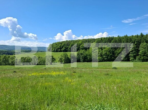 Teren de vânzare Dumbravita - 191996TV | BLITZ Brașov | Poza1