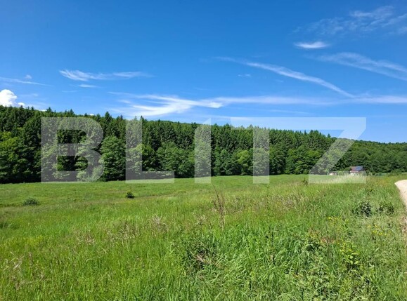 Teren de vânzare Dumbravita - 191996TV | BLITZ Brașov | Poza2