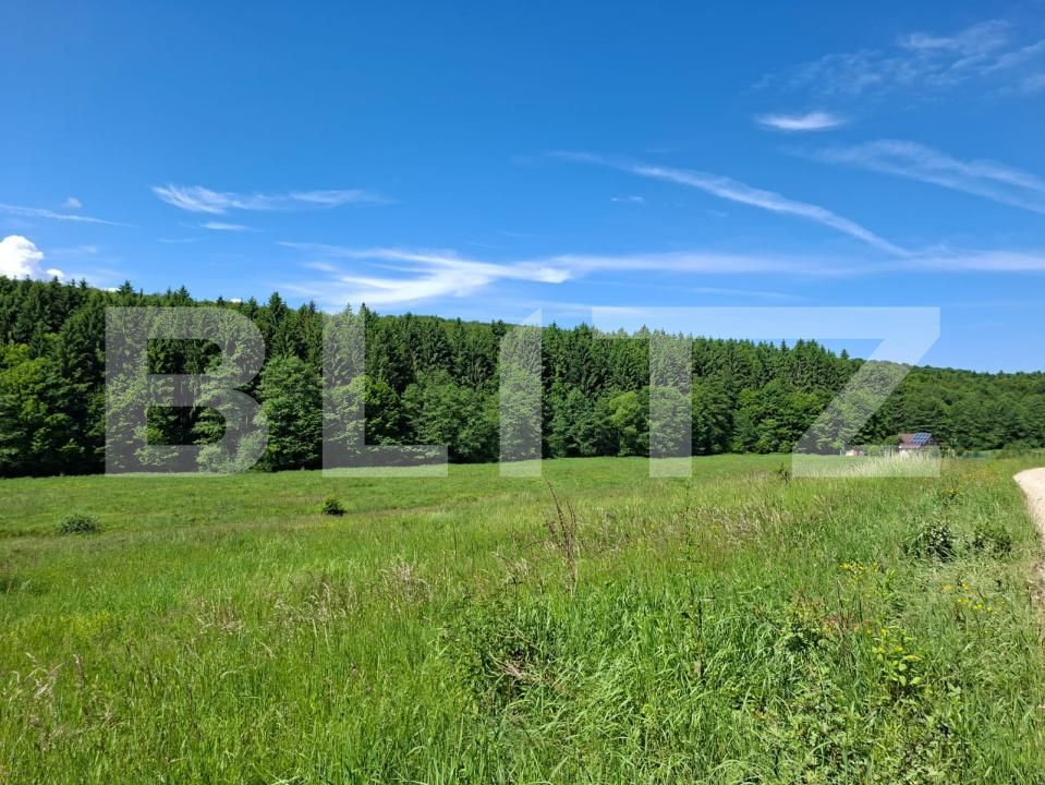 Teren de vânzare Dumbravita - 191996TV | BLITZ Brașov | Poza2