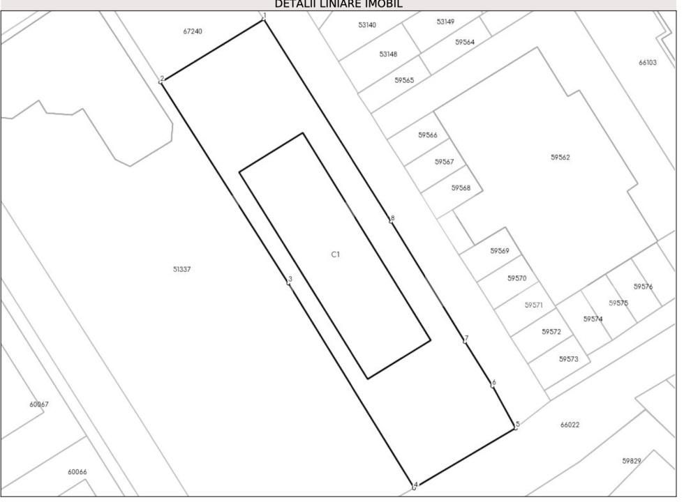 Teren de vânzare Baciu - 192016TV | BLITZ Cluj-Napoca | Poza9