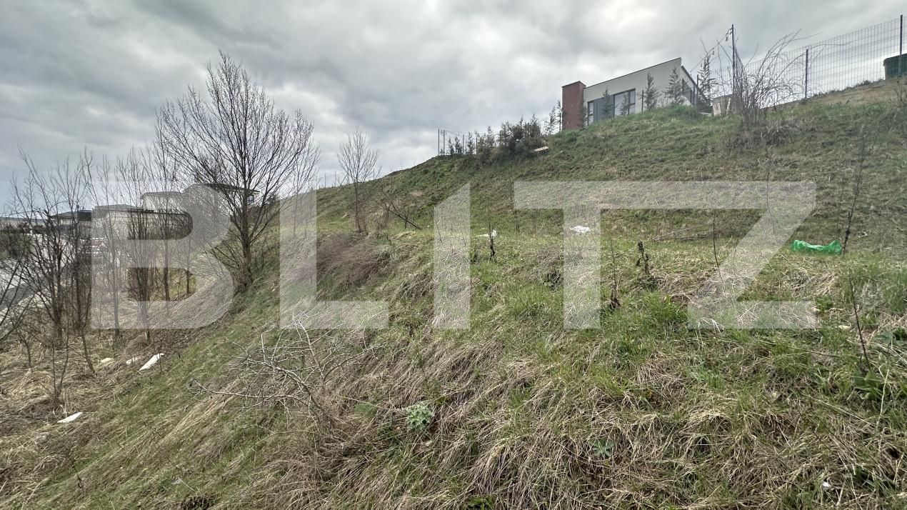 Teren de vânzare Baciu - 192018TV | BLITZ Cluj-Napoca | Poza2