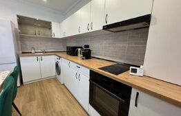 Apartament o camera, LUX, 45 mp, parcare subterană, zona Mănăștur