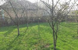 Proprietate cu casa renovabila si anexe, teren 8291 mp, în Iclod