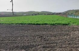 Proprietate cu casa renovabila si anexe, teren 8291 mp, în Iclod