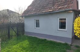 Proprietate cu casa renovabila si anexe, teren 8291 mp, în Iclod