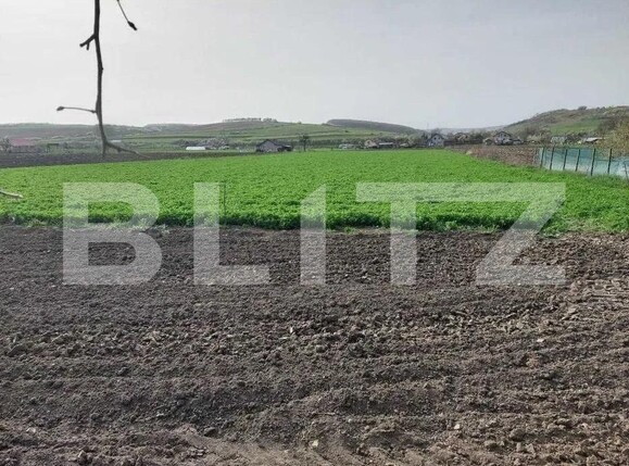 Casa de vânzare 2 camere Iclod - 192041CV | BLITZ Cluj-Napoca | Poza3