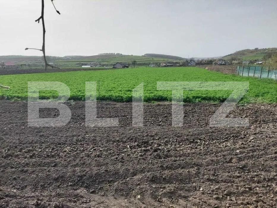 Casa de vânzare 2 camere Iclod - 192041CV | BLITZ Cluj-Napoca | Poza3