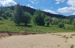 Teren 1000 mp, zona Rogojel, poalele Vlădesei, Panorama montană de vis frumos