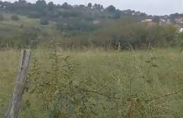 Oportunitate! Teren intravilan autorizabil 1428 mp, front 20 m,Feleacu ! 