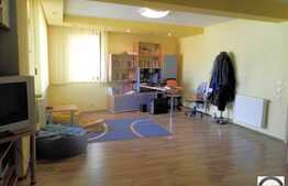 Vanzare casa de lux, 238 mp, teren 500 mp, 2 fronturi stradale, zona centrala!