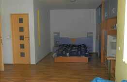 Vanzare casa de lux, 238 mp, teren 500 mp, 2 fronturi stradale, zona centrala!