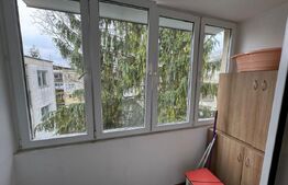 Apartament 2 camere, pet-friendly, semidecomandat, A.C., zona: Grigorescu