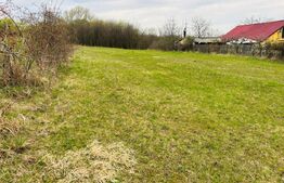 Teren intravilan, 1020 mp, zona Buna Ziua - Mihai Romanul