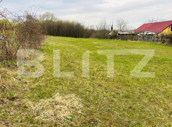 Teren de vânzare Bună Ziua - 192118TV | BLITZ Cluj-Napoca | Poza4