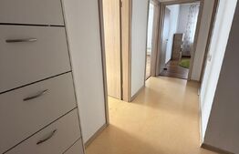 Apartament cu 2 camere de vânzare Constantin Noica, gata inchiriat