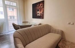 Apartament 3 camere, mobilat si utilat, zona Eroilor