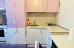 2 camere, 65 mp, decomandat, pet friendly, terasa 30 mp, parcare, zona Taietura Turcului