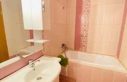 2 camere, 65 mp, decomandat, pet friendly, terasa 30 mp, parcare, zona Taietura Turcului