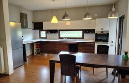 Casă specială 3 camere, 160 mp, teren 1000 mp, în Suceagu