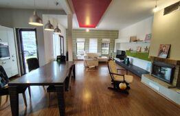 Casă specială 3 camere, 160 mp, teren 1000 mp, în Suceagu