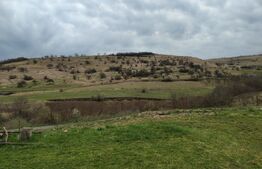 Casă specială 3 camere, 160 mp, teren 1000 mp, în Suceagu