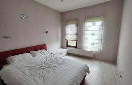 Casă specială 3 camere, 160 mp, teren 1000 mp, în Suceagu