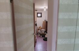 Casă specială 3 camere, 160 mp, teren 1000 mp, în Suceagu