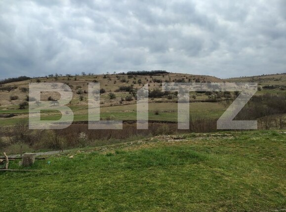 Casa de vânzare 3 camere Suceagu - 192203CV | BLITZ Cluj-Napoca | Poza13